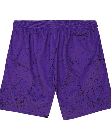 Mitchell&Ness - Player Burst Mesh Shorts Toronto Raptors Vince Carter Mitchell&Ness - Player Burst Mesh Shorts Toronto Raptors Vince Carter