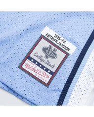 Mitchell&Ness - Swingman Jersey North Carolina Antawn Jamison 1995-1996