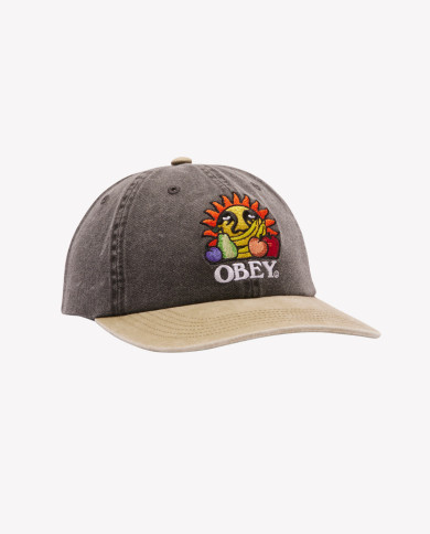 Obey - Pigment Fruits 6 Panel - Pigment Black