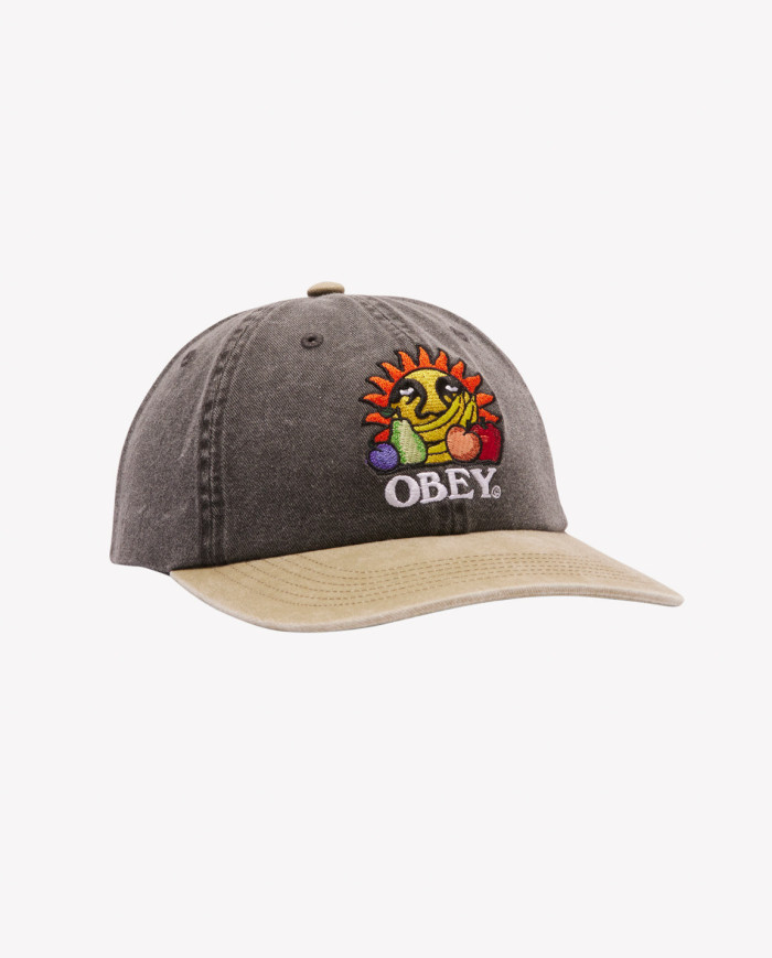 Obey - Pigment Fruits 6 Panel - Pigment Black