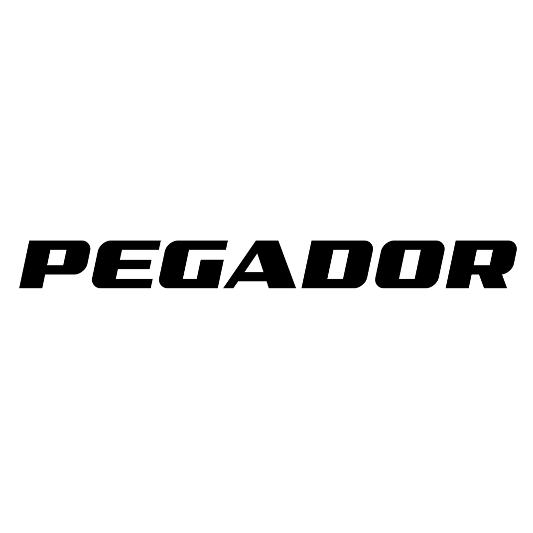 Pegador